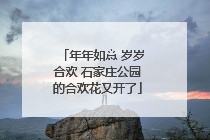 年年如意 岁岁合欢 石家庄公园的合欢花又开了